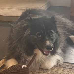 Meet your Posher, Lois